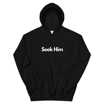 Seek Him - Unisex Hoodie