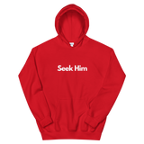 Seek Him - Unisex Hoodie